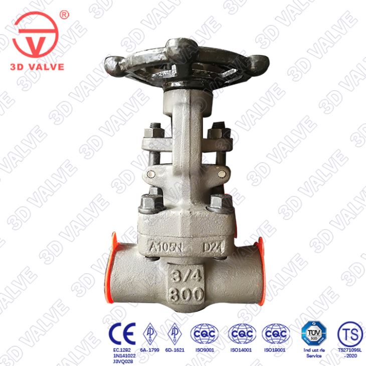 800LB Gate Valve