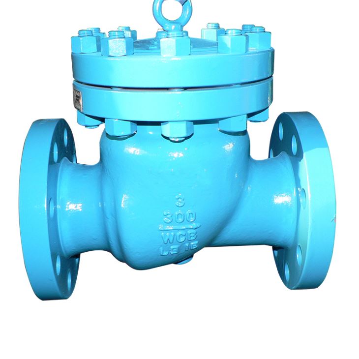 API 6D Check Valve