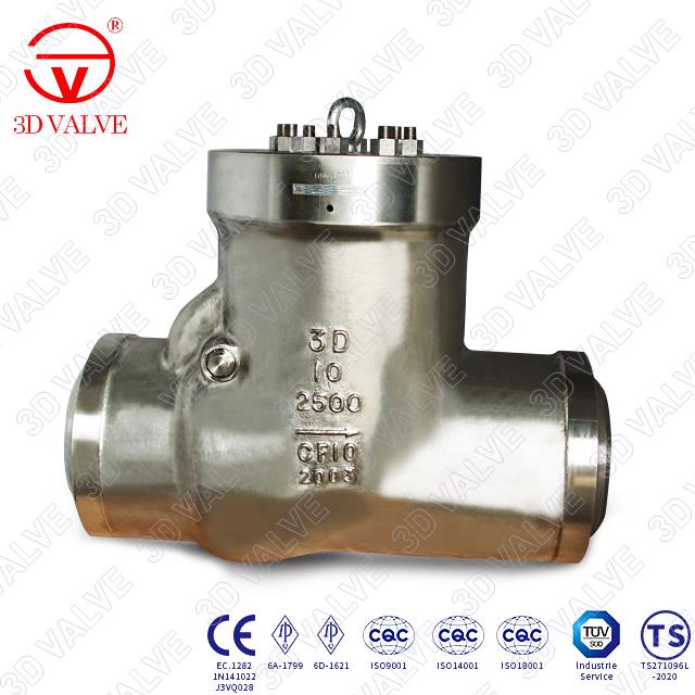 Cryogenic Swing Check Valve